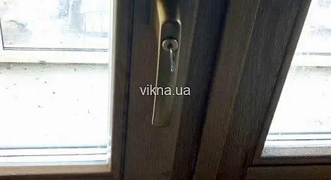 Дерев'яні вікна з дуба в квартирі - головне фото